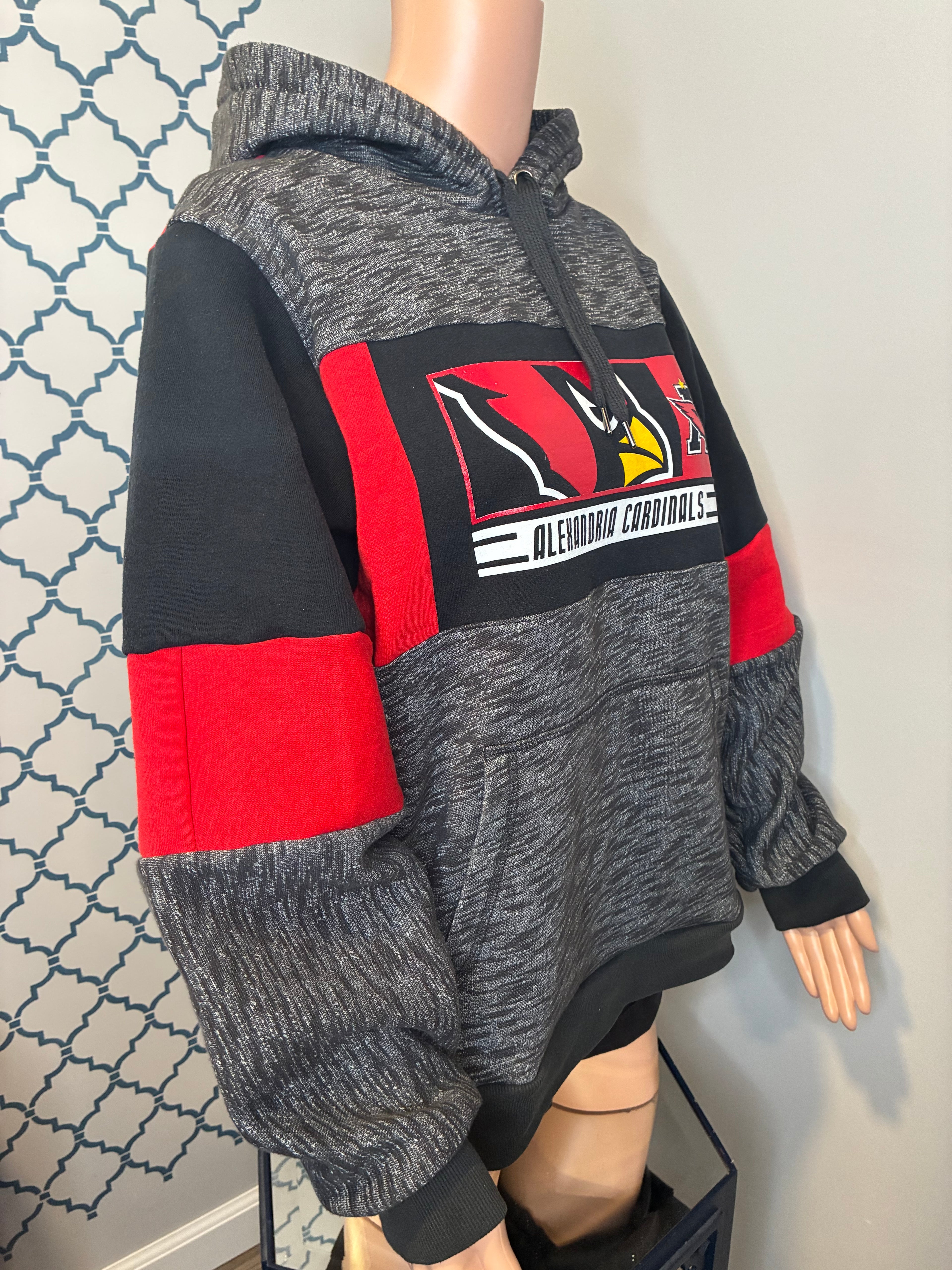 Alexandria Game-day Hoodie (M)