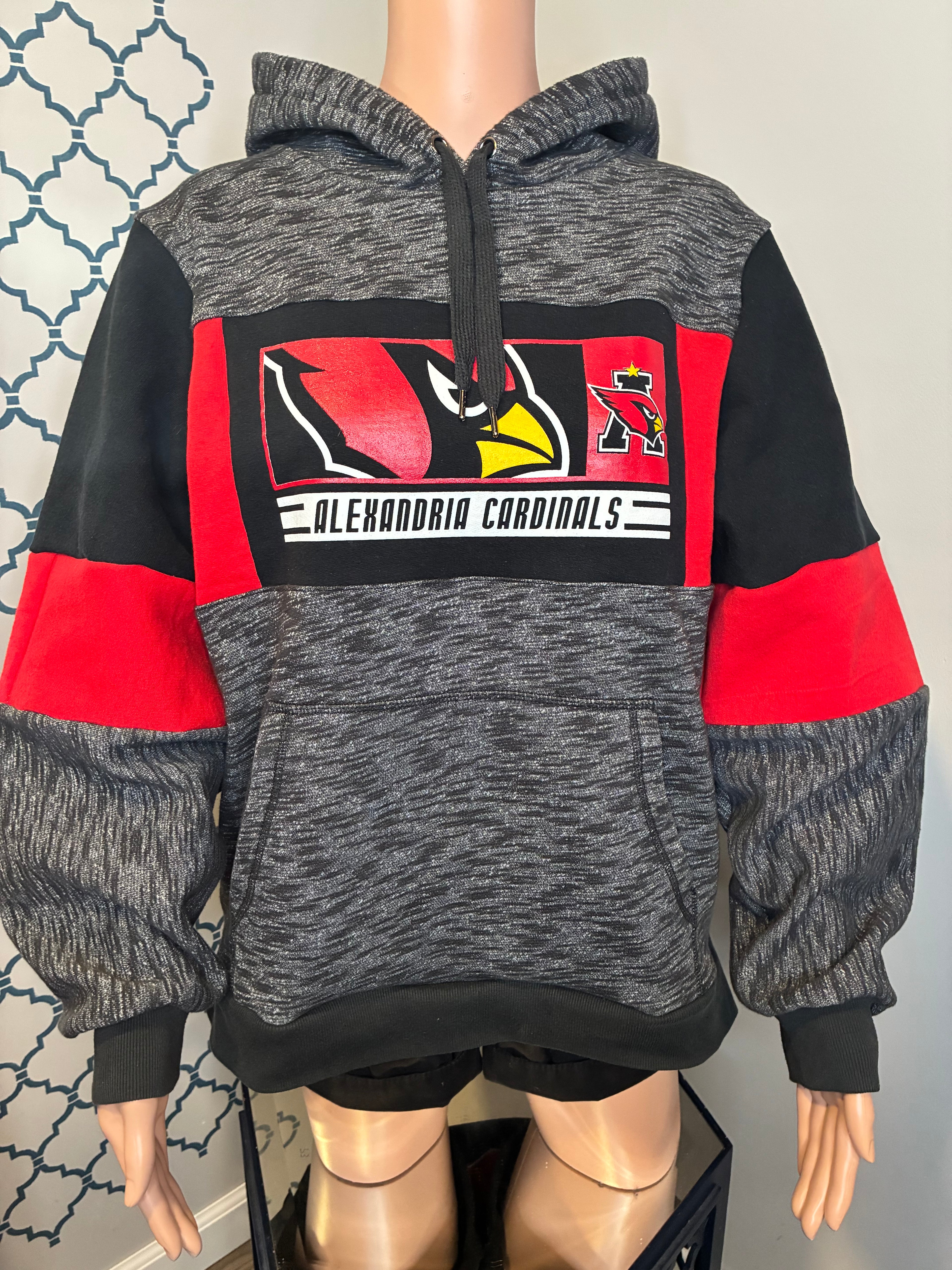 Alexandria Game-day Hoodie (M)