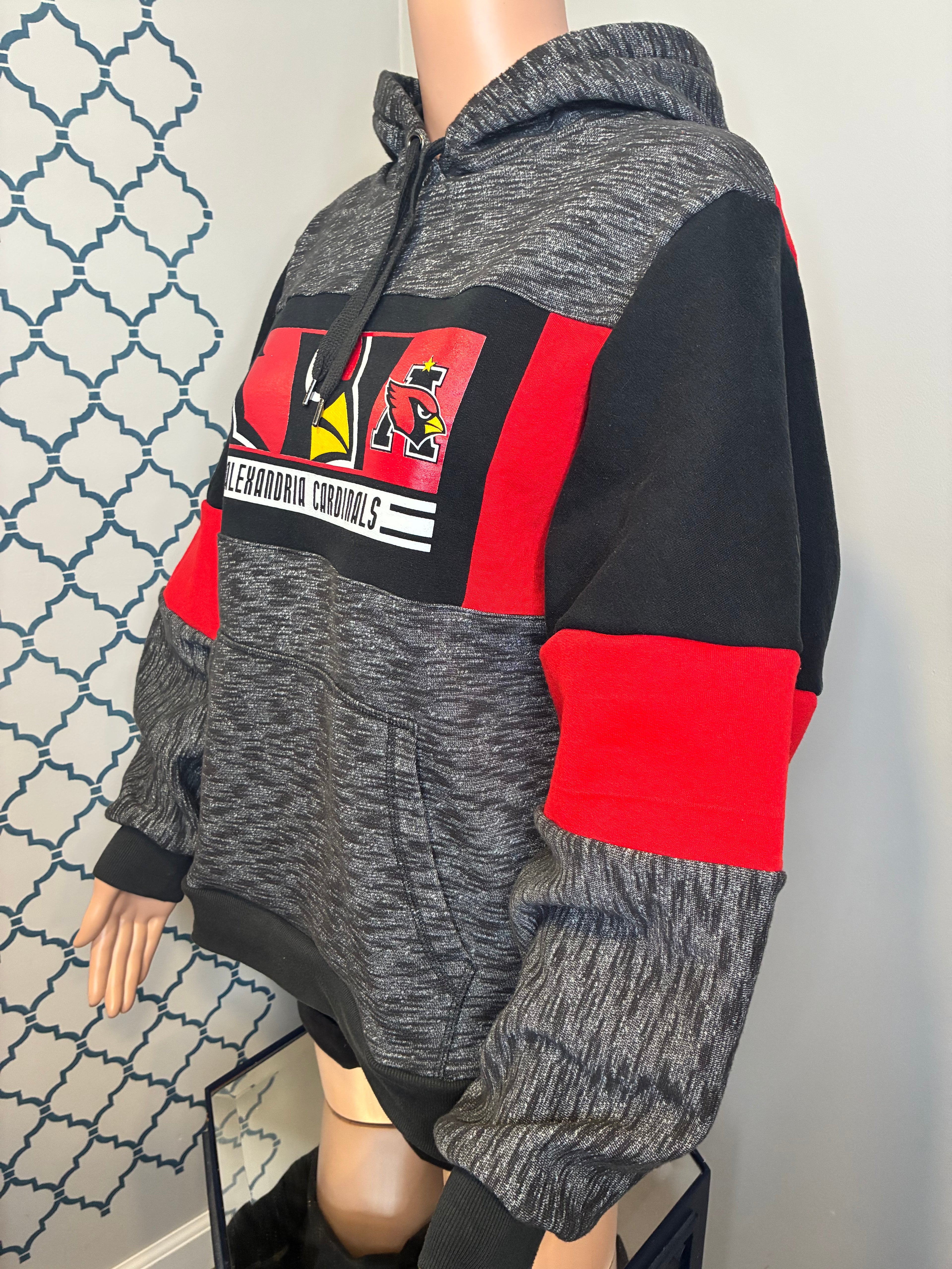 Alexandria Game-day Hoodie (M)